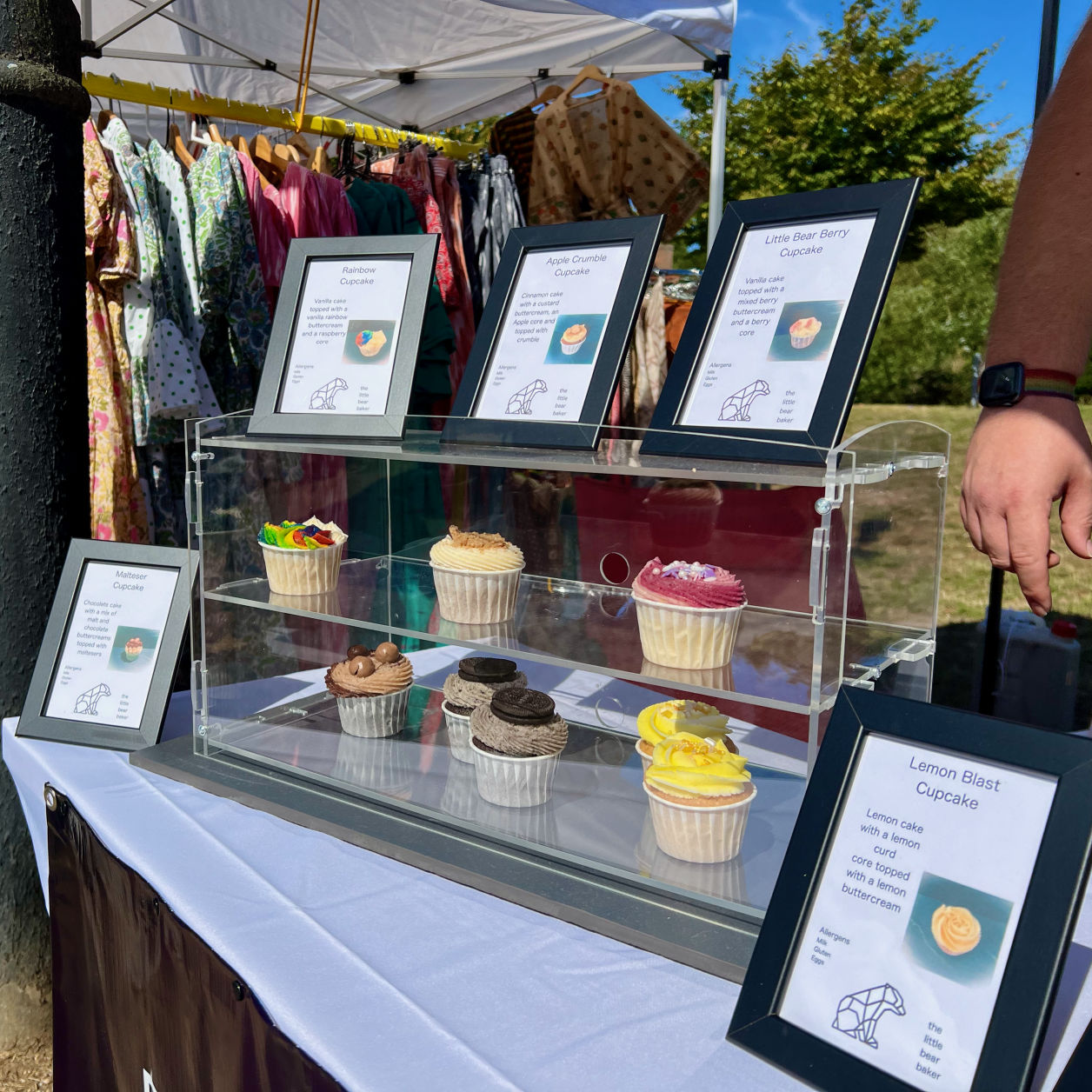 Mobirise Website Builder